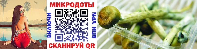 Купить где  Краснознаменск  Галлюциногенные грибы мицелий 